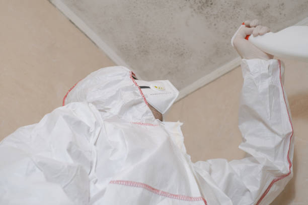 Best Residential Mold Removal  in Florence, AZ