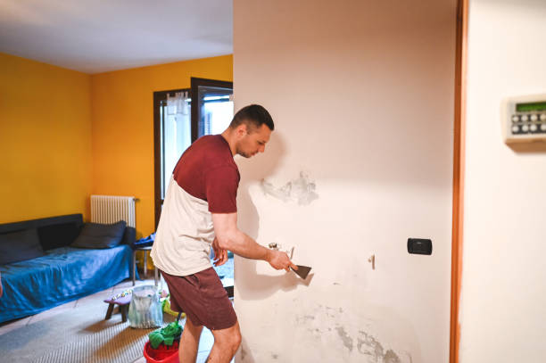 Best Attic Mold Removal  in Florence, AZ